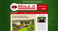 Desktop Screenshot of mole-ex.com