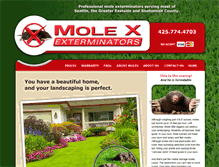 Tablet Screenshot of mole-ex.com